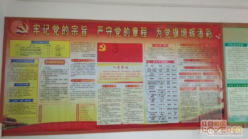 银河中动物逃生